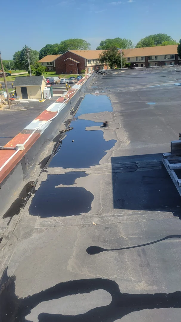 commercial building roof inspection water intrusion structural damage